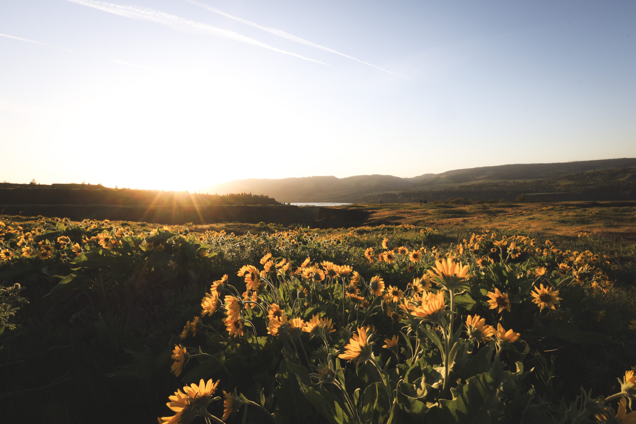 Dreamy Adventurers Homepage Featured Photo Rowena Crest Viewpoint