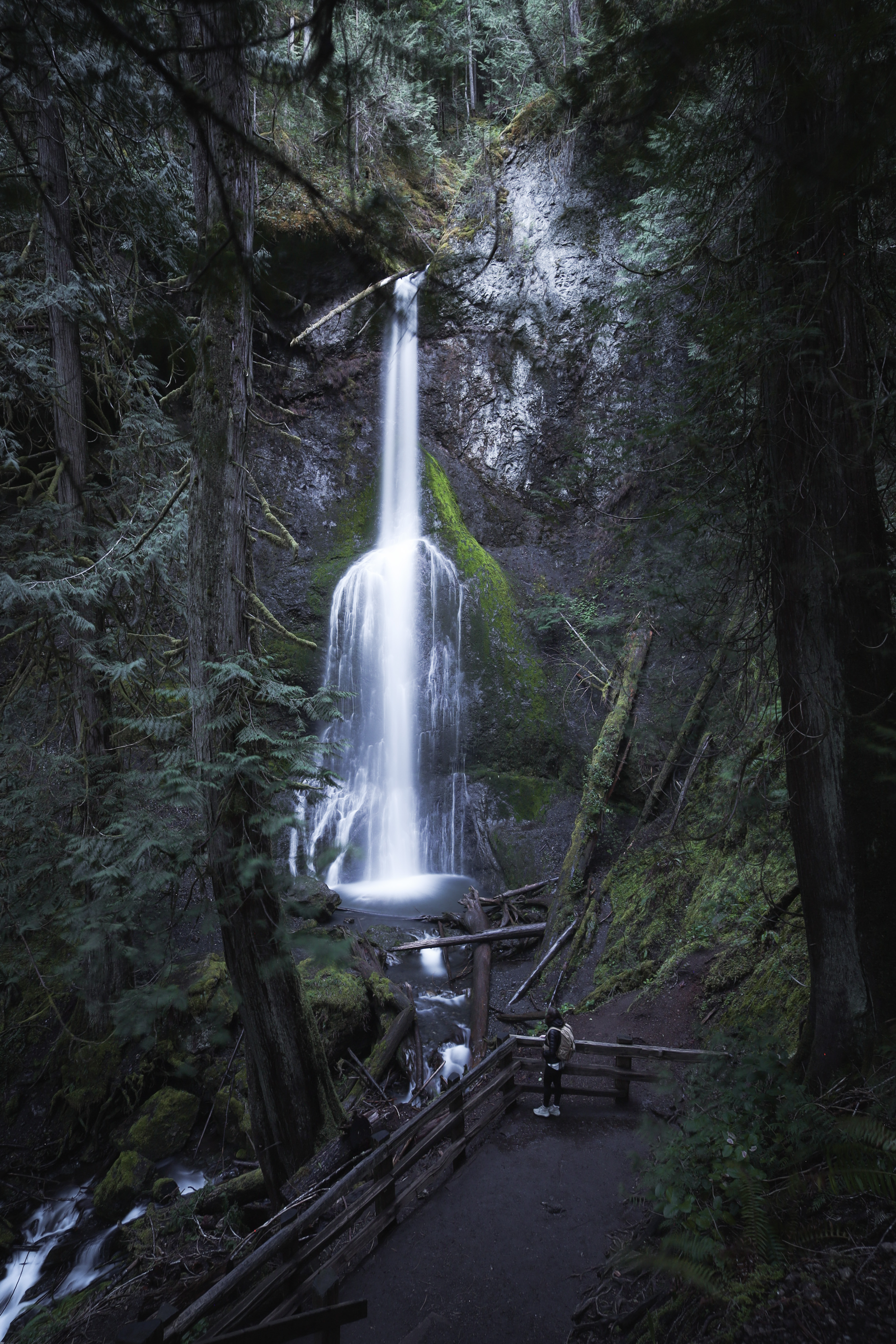 Marymere Falls - Olympic National Park Itinerary