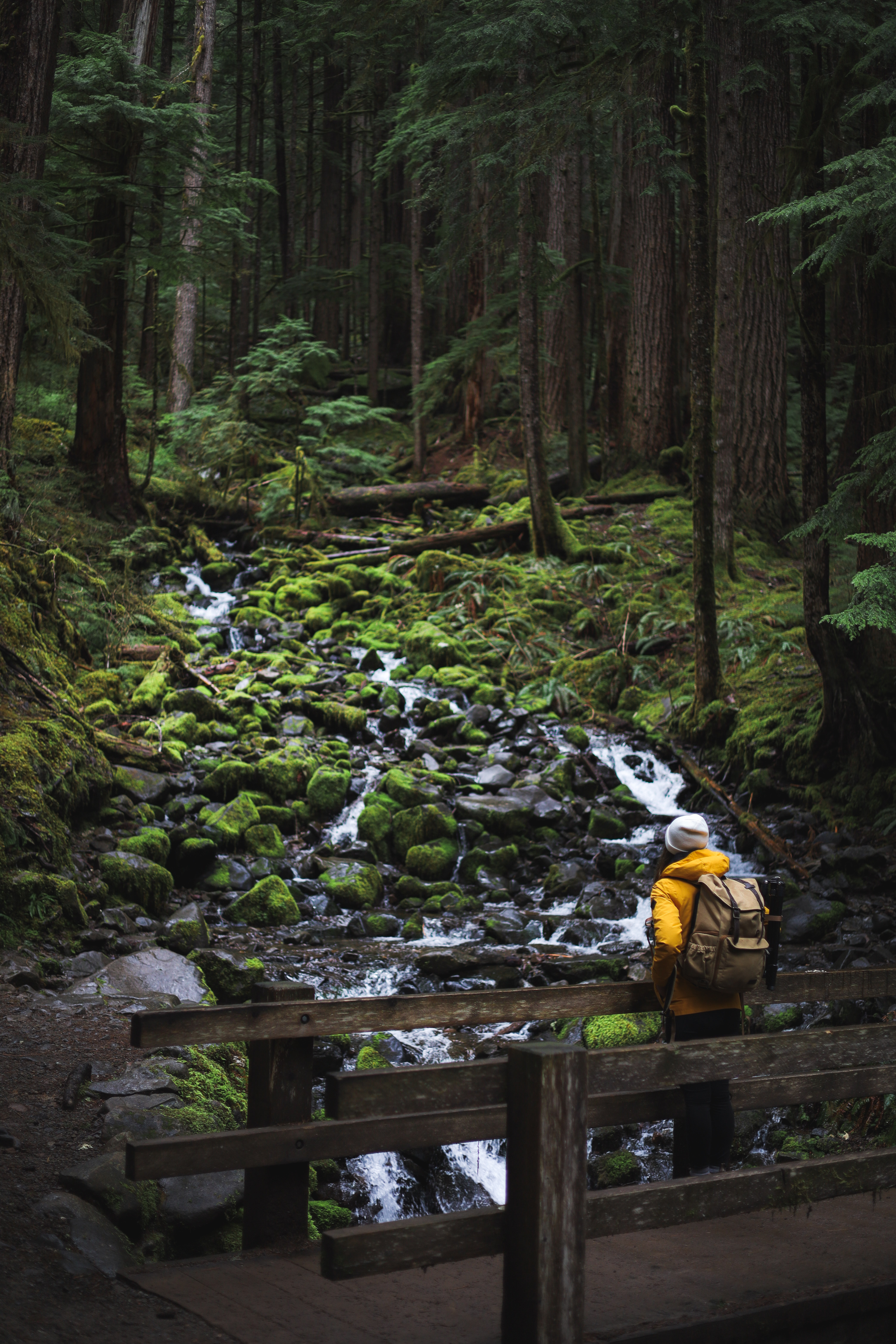 Sol Duc Falls