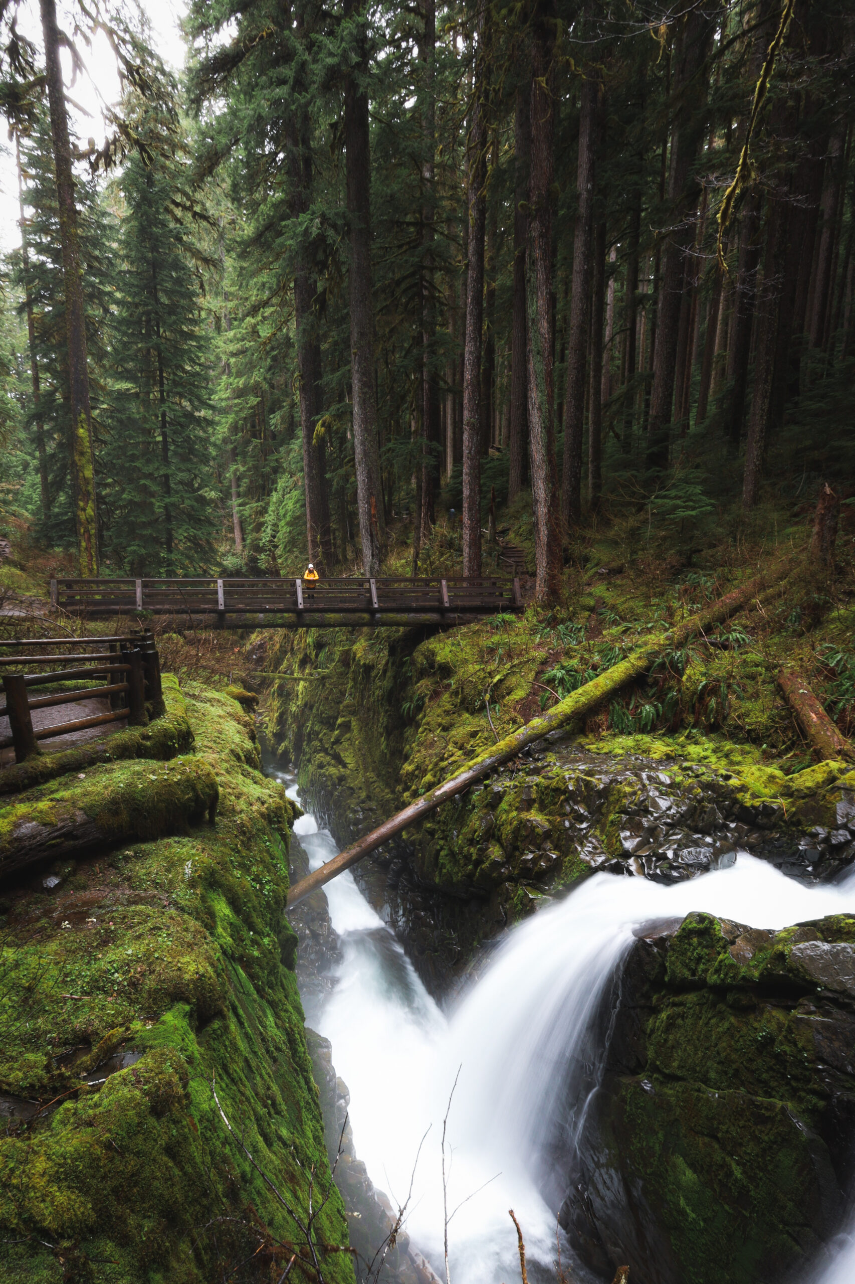 Sol Duc Falls