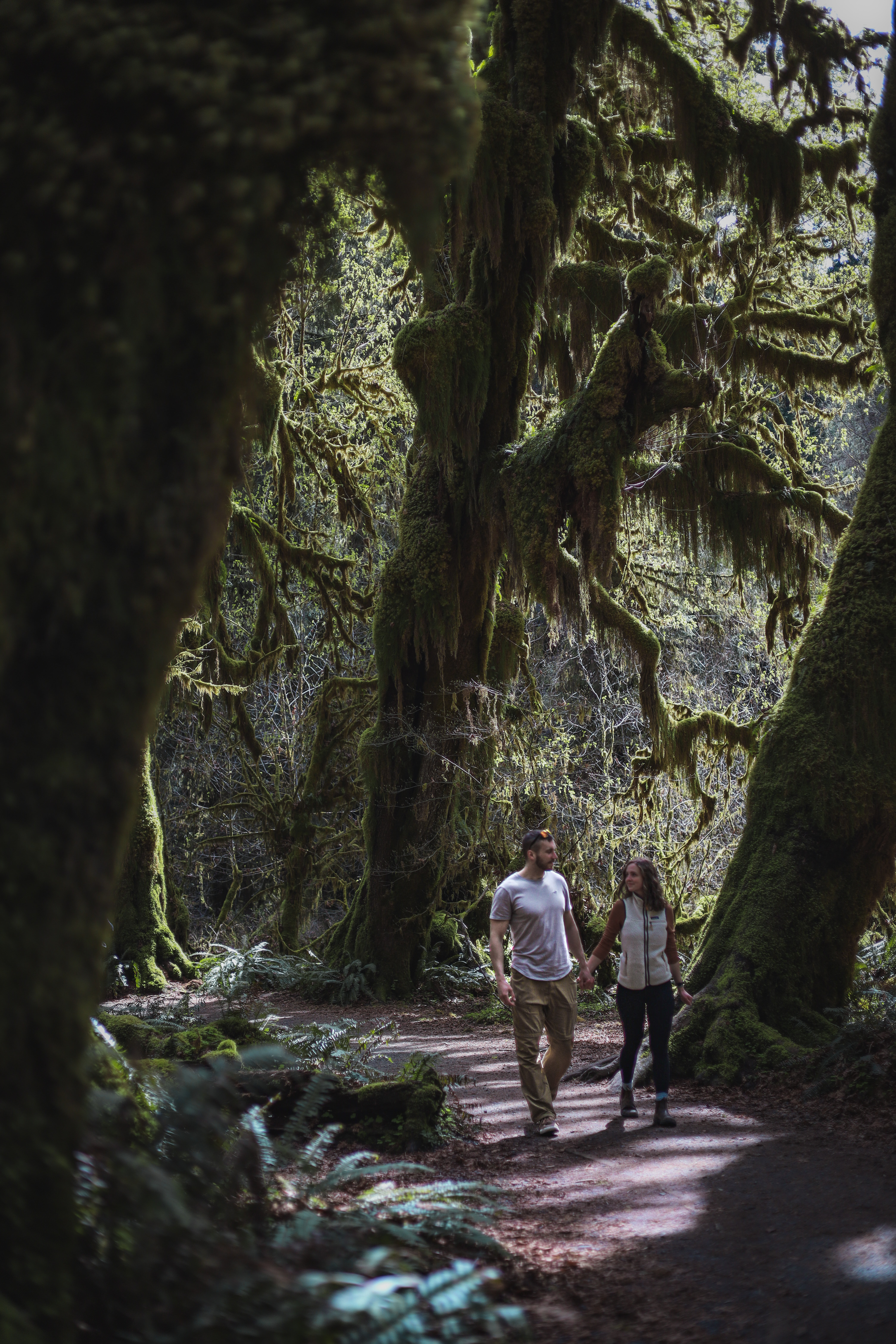 Olympic National Park Itinerary - Hoh Rainforest