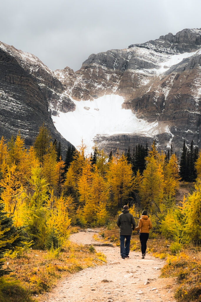 Larch season hikes in Banff - Saddleback Pass Trail