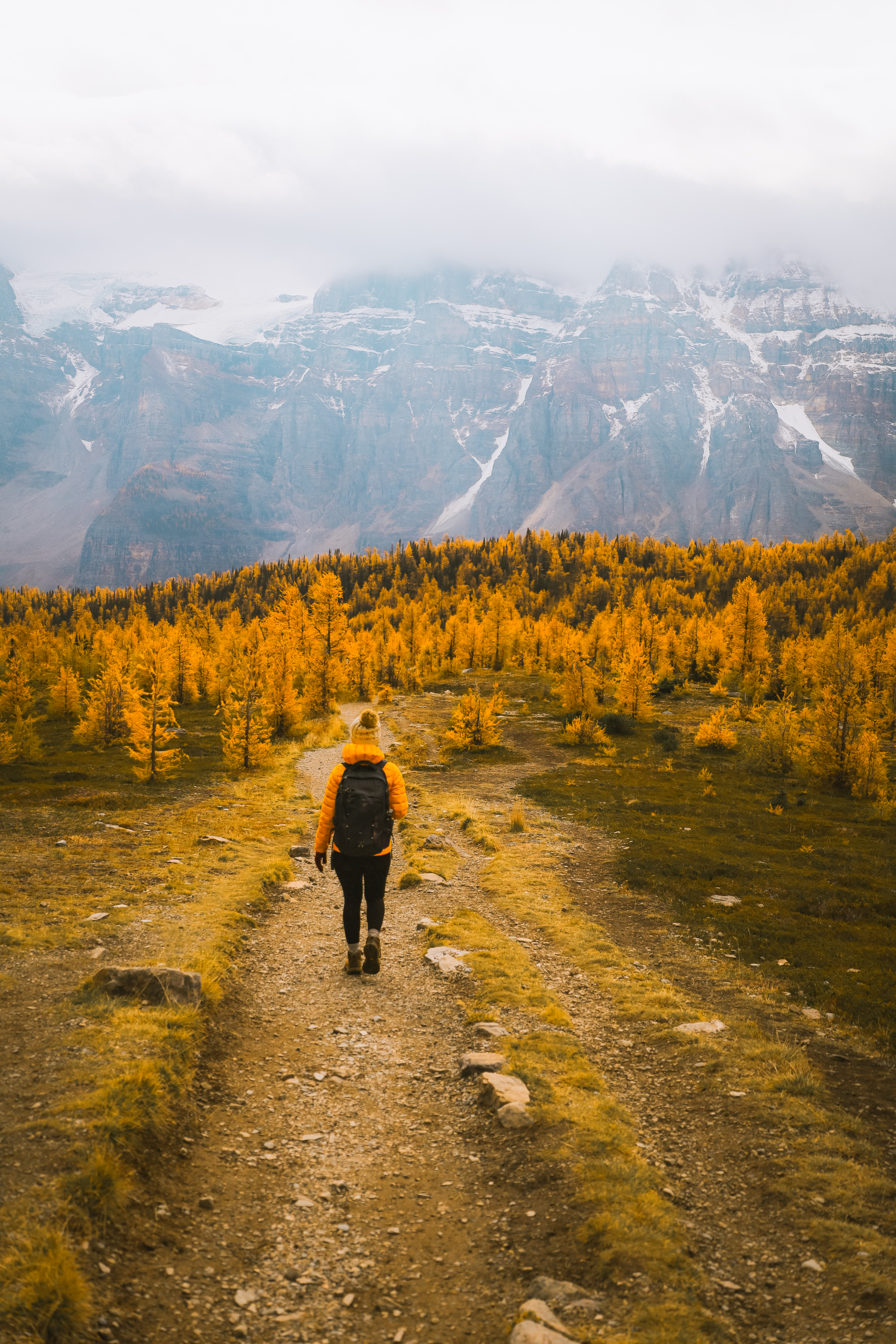 Larch Valley