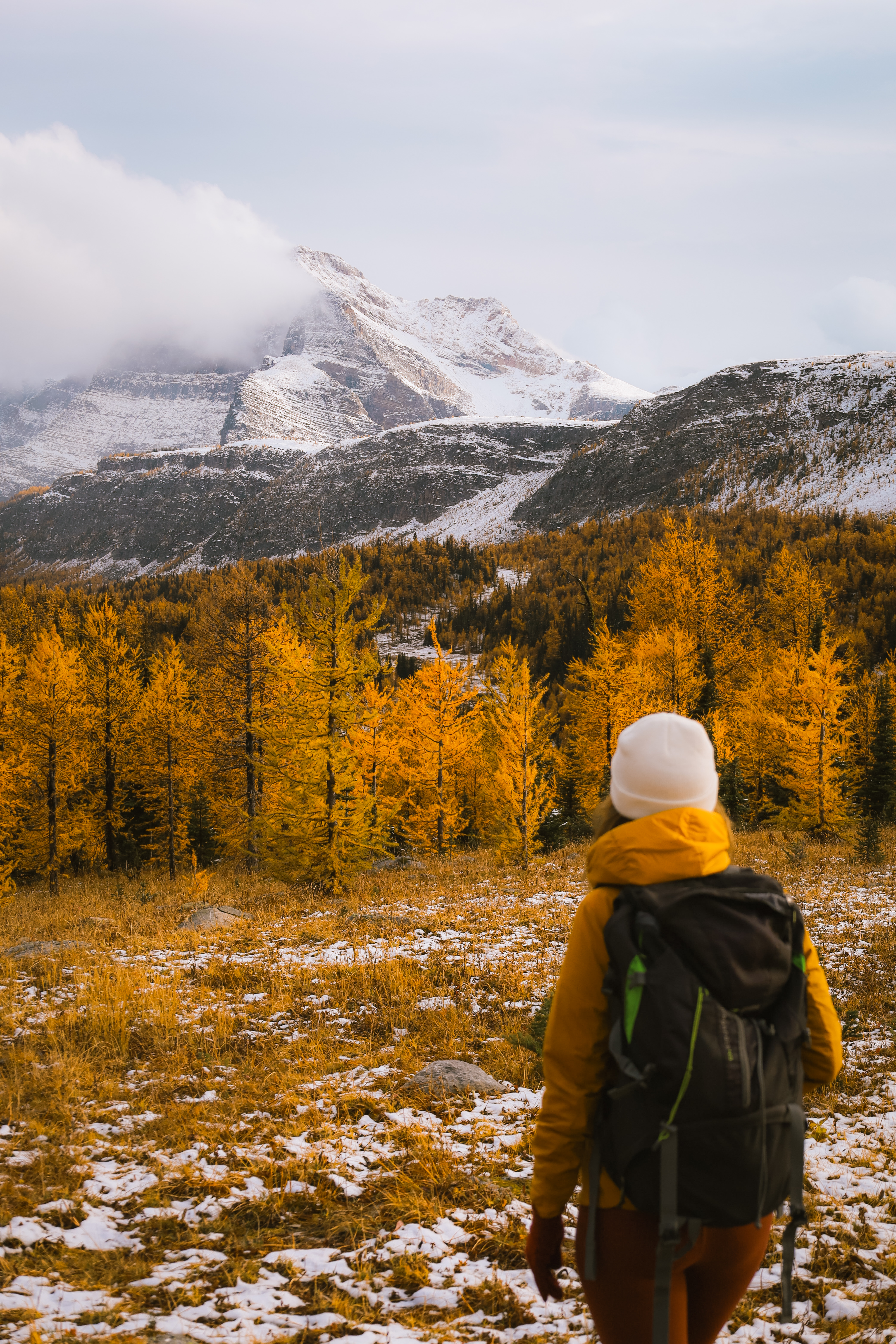 Larch Season Hikes in Banff - Healy Pass