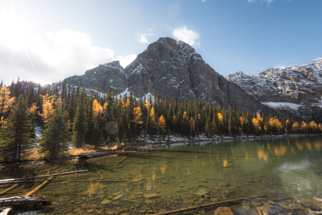 Larch Season Hikes - Taylor Lake